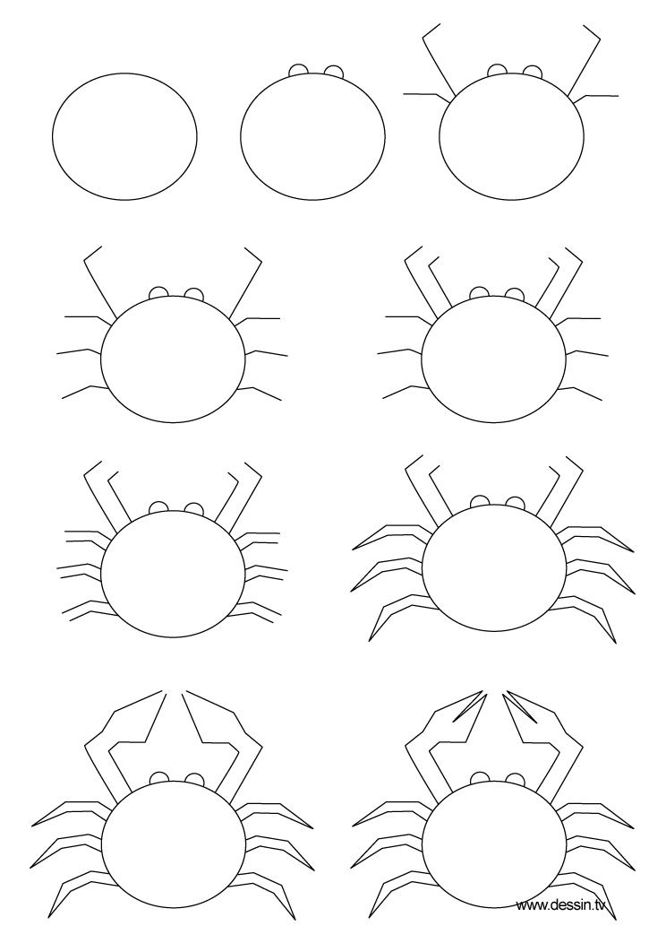 744x1052 how to draw sea crab learn how to draw a crab with simple step - Crab Drawing Easy
