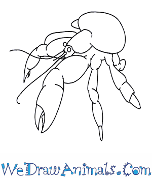 300x350 How To Draw A Coconut Crab - Crab Drawing Easy