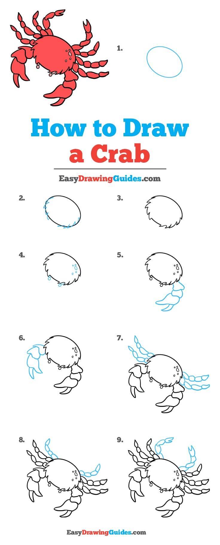 736x1819 How To Draw A Crab - Crab Drawing Easy
