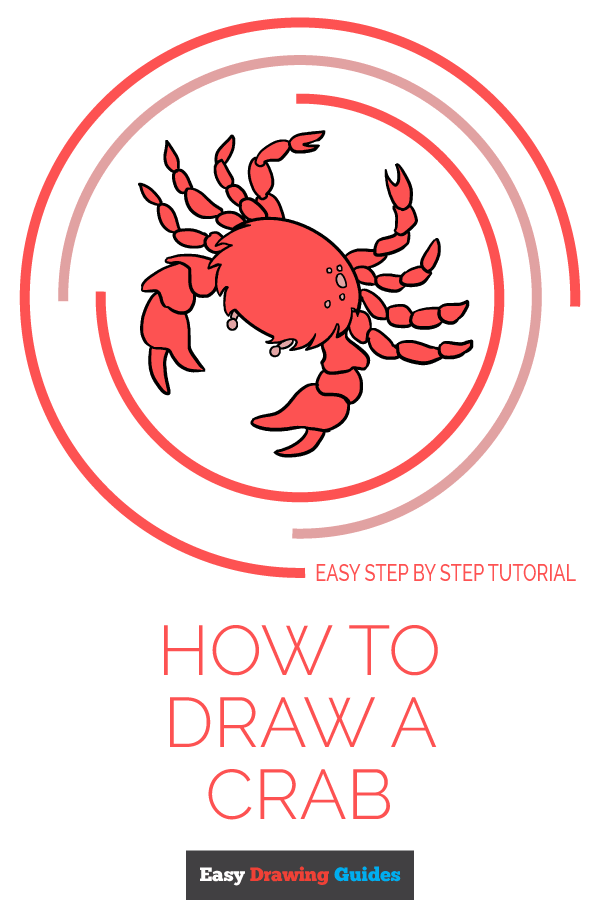 600x900 How To Draw A Crab - Crab Drawing Easy