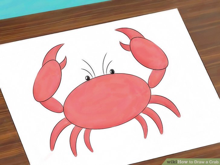 728x546 How To Draw A Crab Steps - Crab Drawing Easy