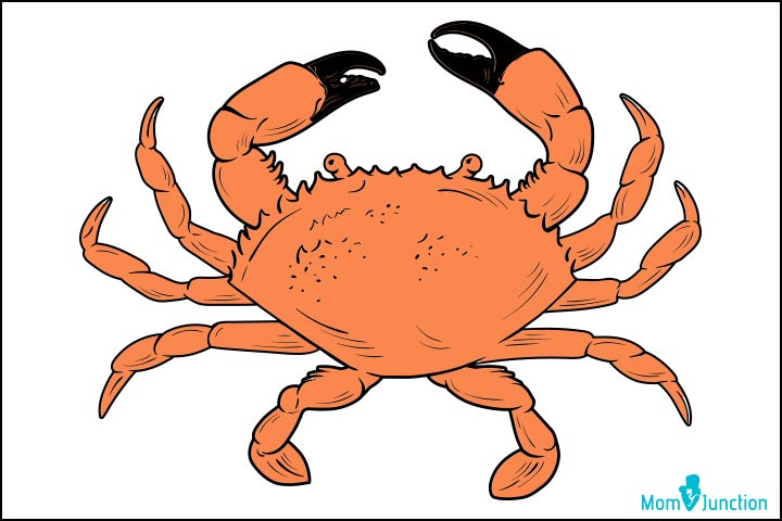 720x480 How To Draw A Crab - Crab Drawing Easy