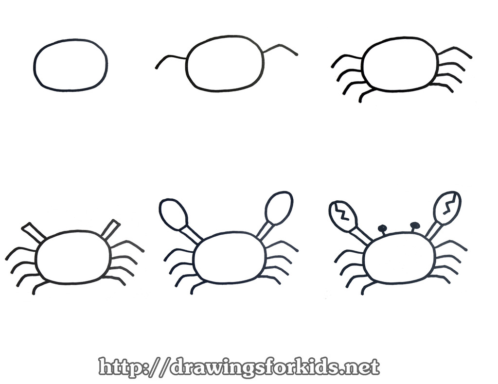 1024x790 Crab Drawing For Kids - Crab Drawing For Kids