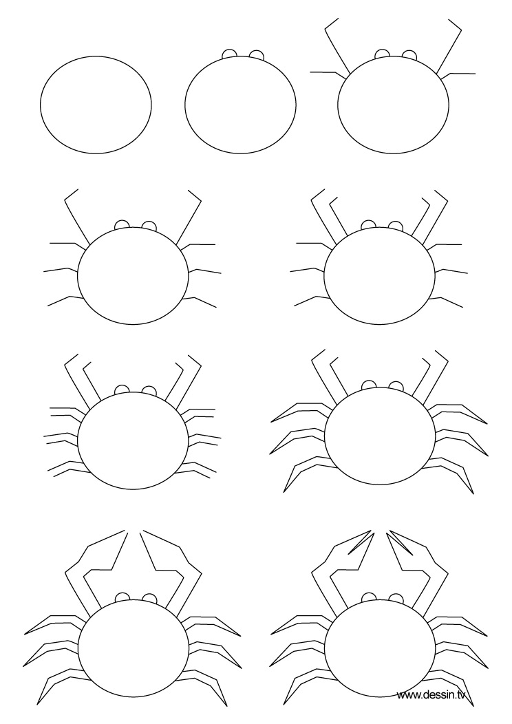 744x1052 Drawing Crab - Crab Drawing Images