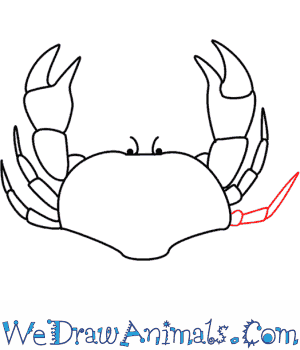 300x350 How To Draw A Crab - Crab Drawing Images
