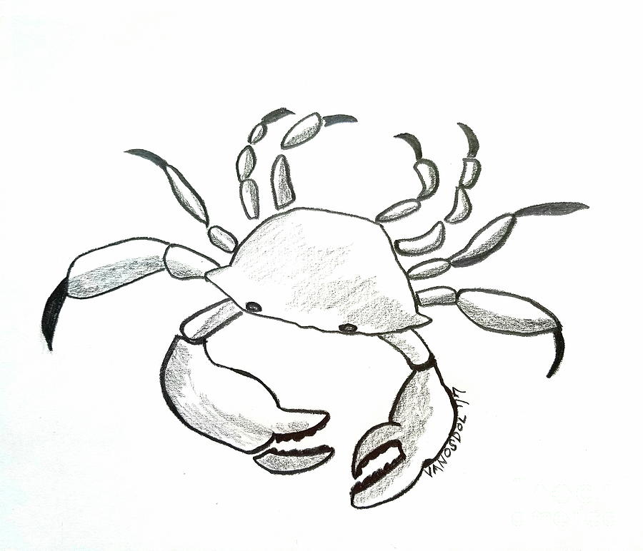 900x772 Coastal Crab - Crab Drawing Images