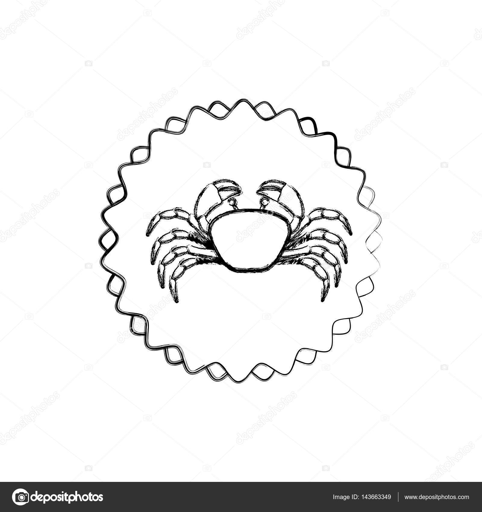 Crab Line Drawing