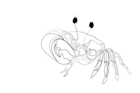 570x380 Fiddler Crab Line Drawing Digital Art Print Simple Line Etsy - Crab Line Drawing
