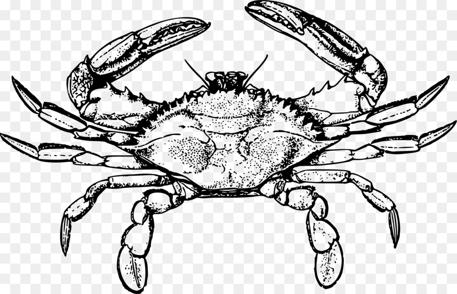 Crab Line Drawing at Explore collection of Crab