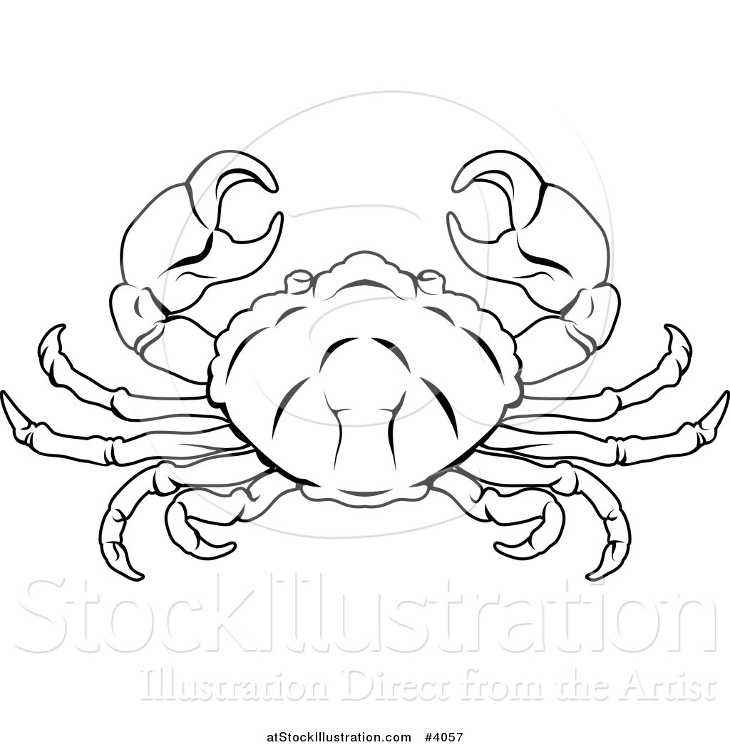 1024x1044 Vector Illustration Of A Black And White Line Drawing - Crab Line Drawing