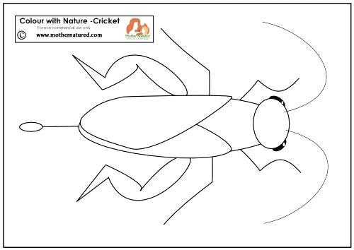 500x354 Crab Outline Drawing At Free For Personal Use Crab Animal Coloring - Crab Outline Drawing