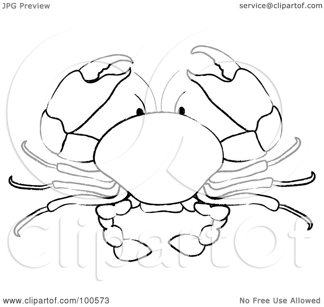 1080x1024 Crab Outline Drawing - Crab Outline Drawing