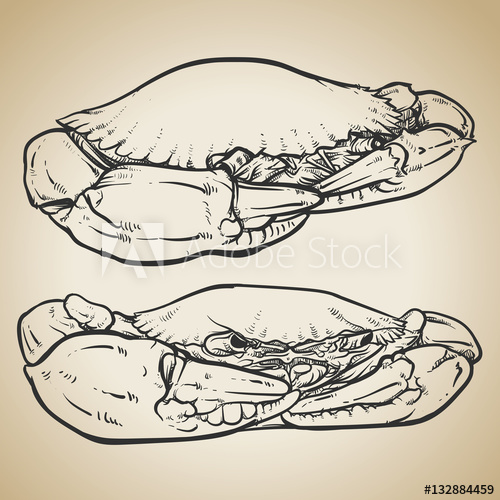 500x500 Crab Drawing On Vintage Background Hand Drawn Outline Seafood I - Crab Outline Drawing