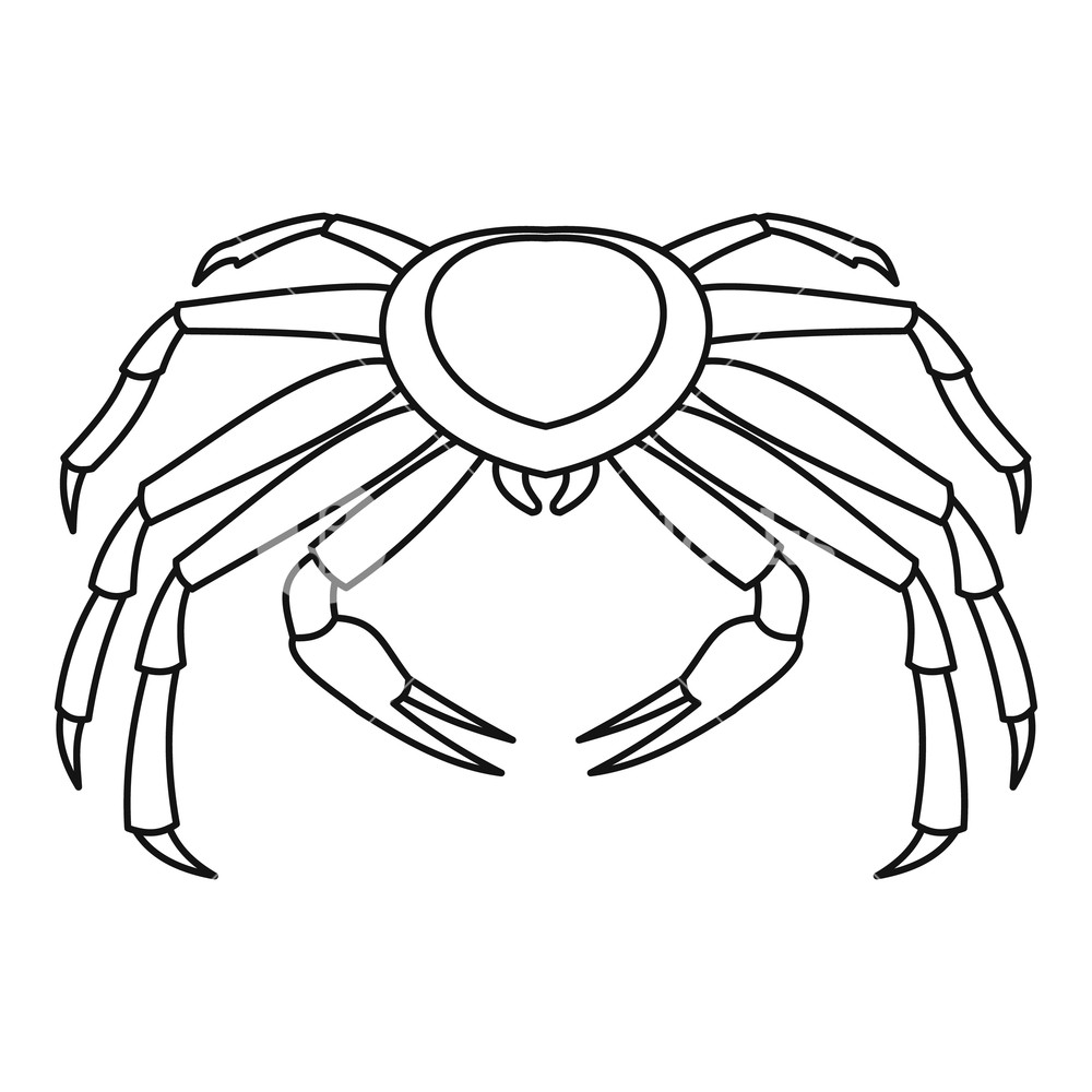 1000x1000 Crab Icon Outline Illustration Of Crab Vector Icon For Web - Crab Outline Drawing
