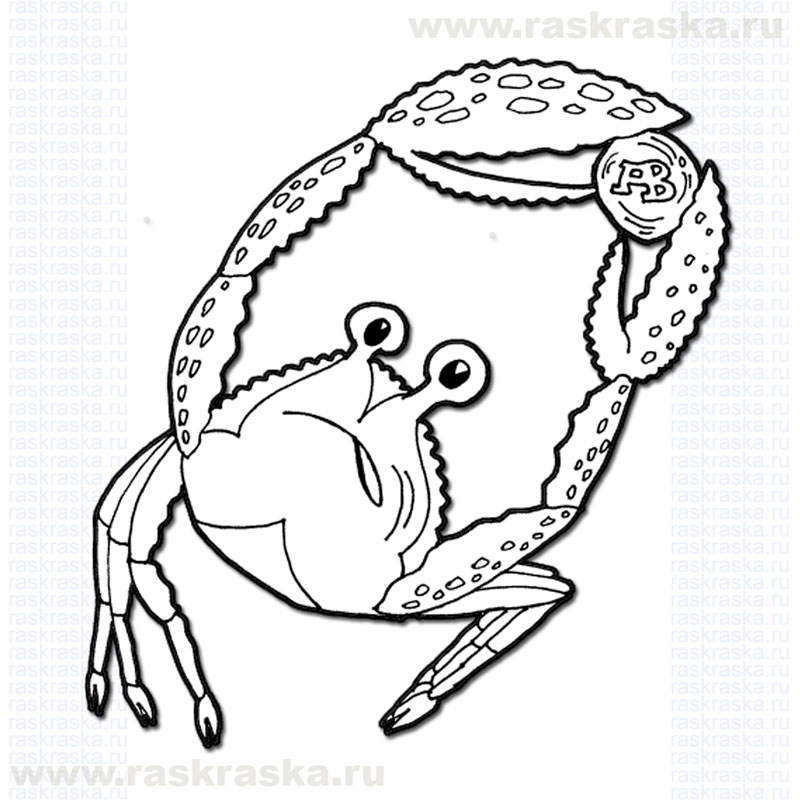 800x800 Crab Picture Raskraska, Cartoon Project For Kids - Crab Outline Drawing
