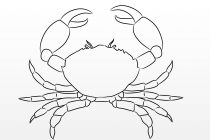 210x140 Tag Outline Drawing Of Crab - Crab Outline Drawing