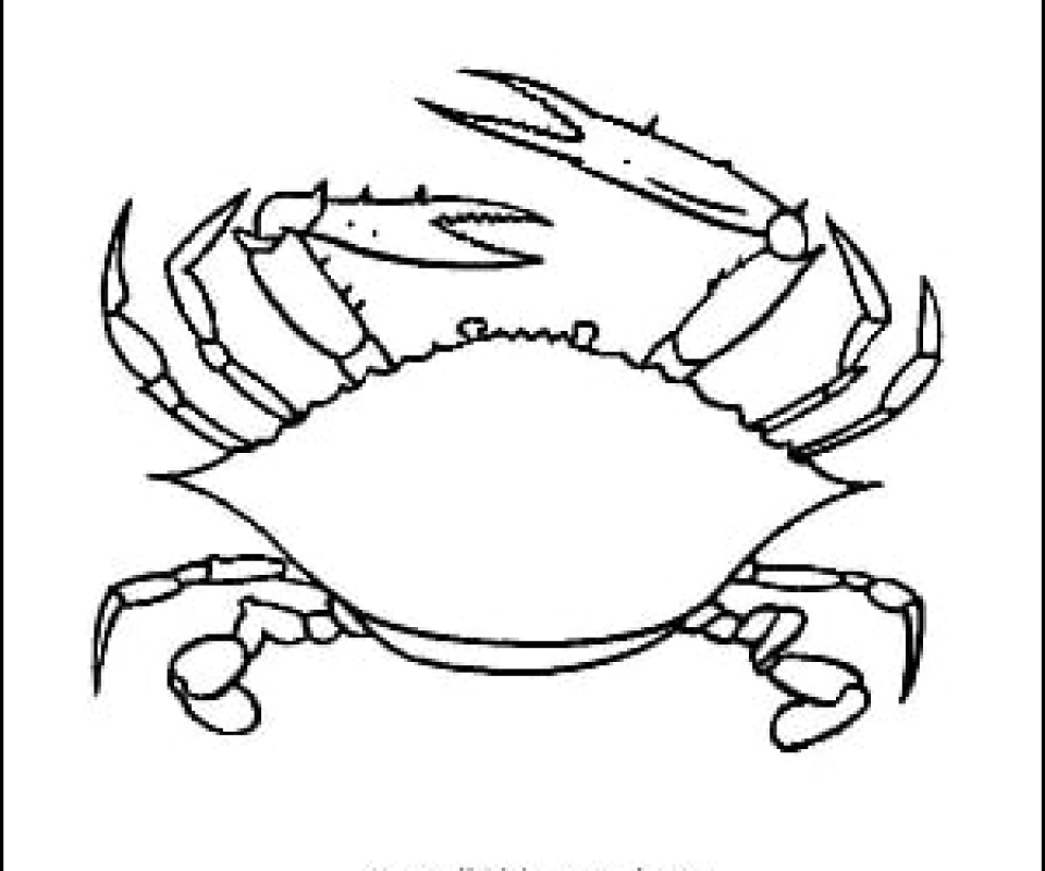 Crab Drawing Land Cr. 