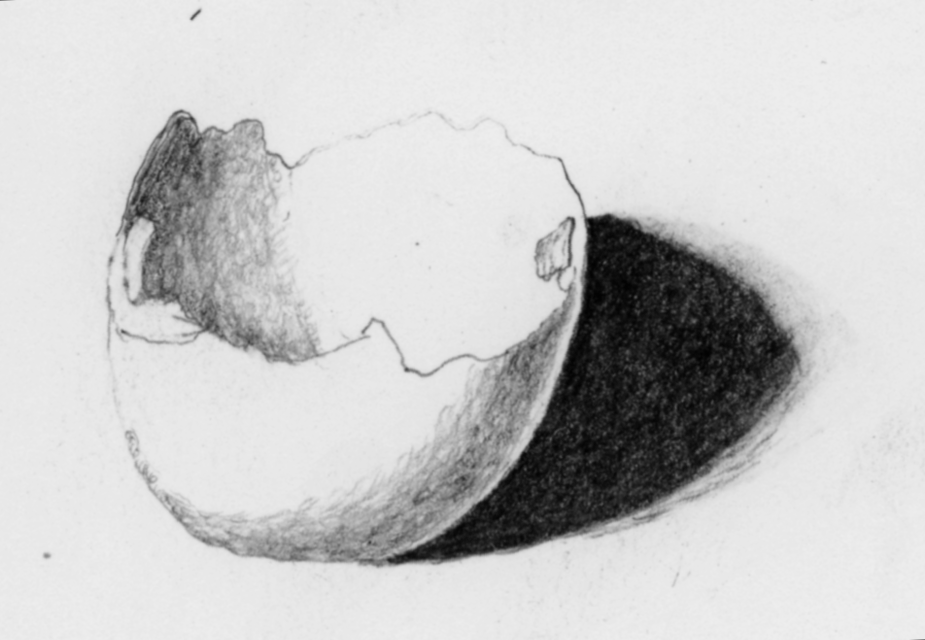 925x640 sept cracked shell an egg a day - Cracked Egg Drawing