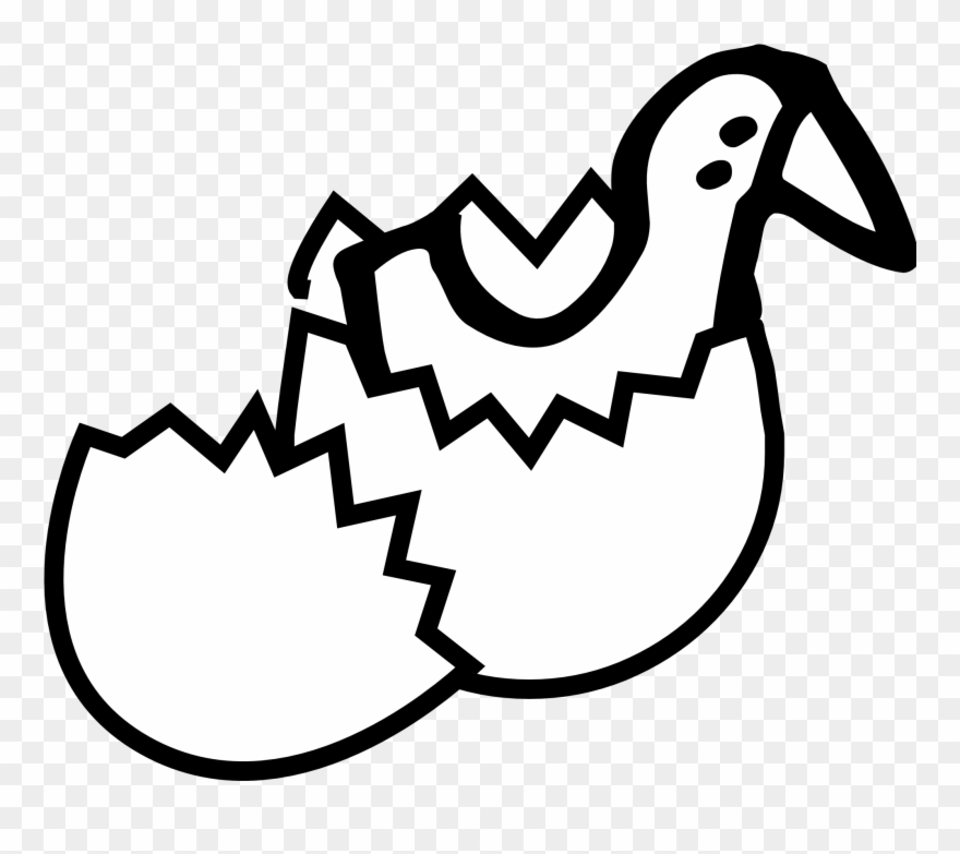 880x783 Chick From Egg Black White Line Easter - Cracked Egg Drawing