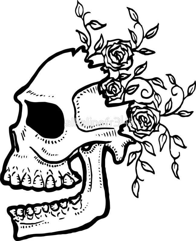 649x800 Cracked Skull And Roses - Cracked Skull Drawing