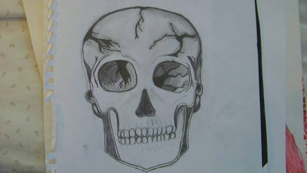 443x250 Cracked Skull - Cracked Skull Drawing