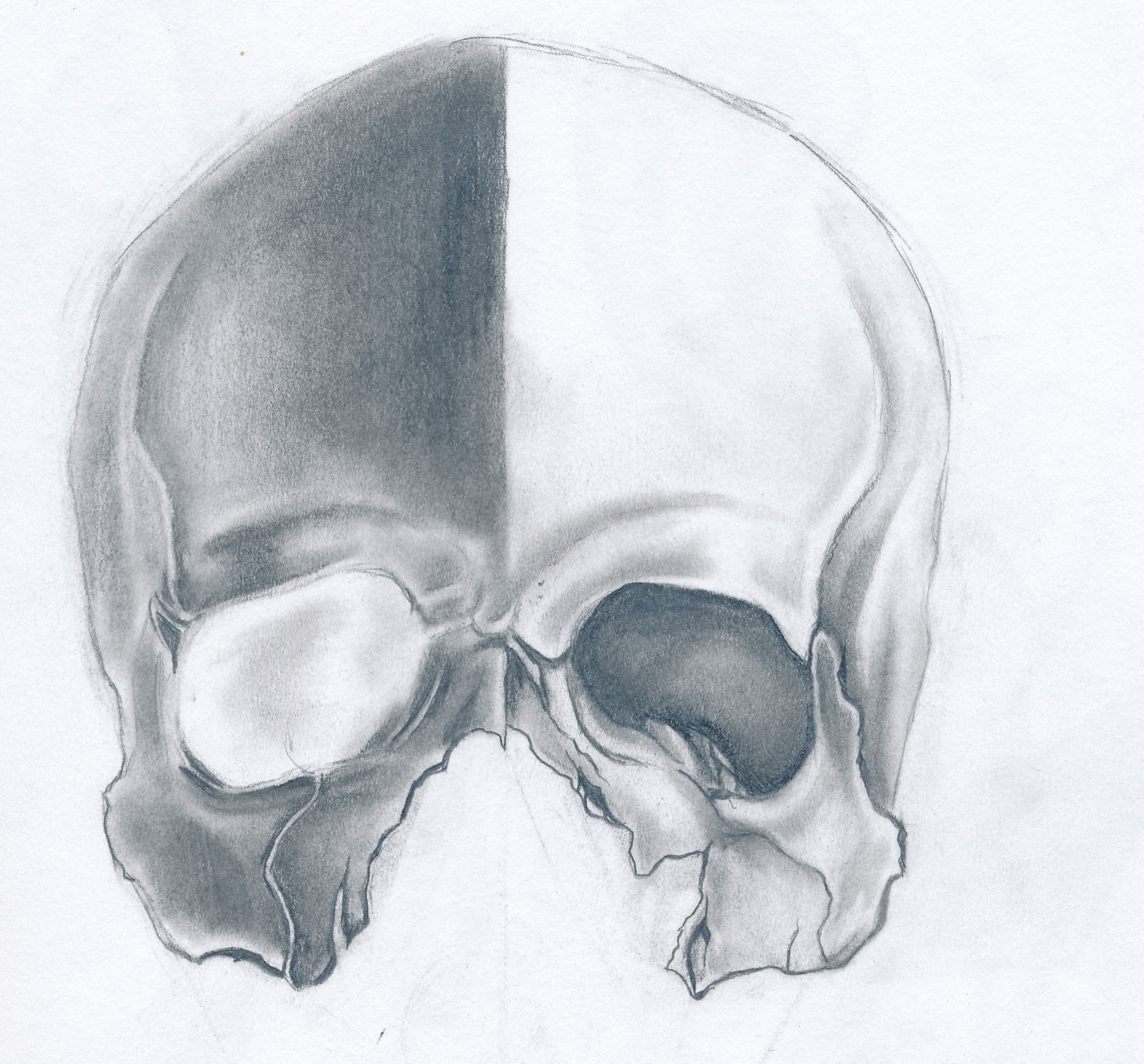 1764x1641 Artstation - Cracked Skull Drawing