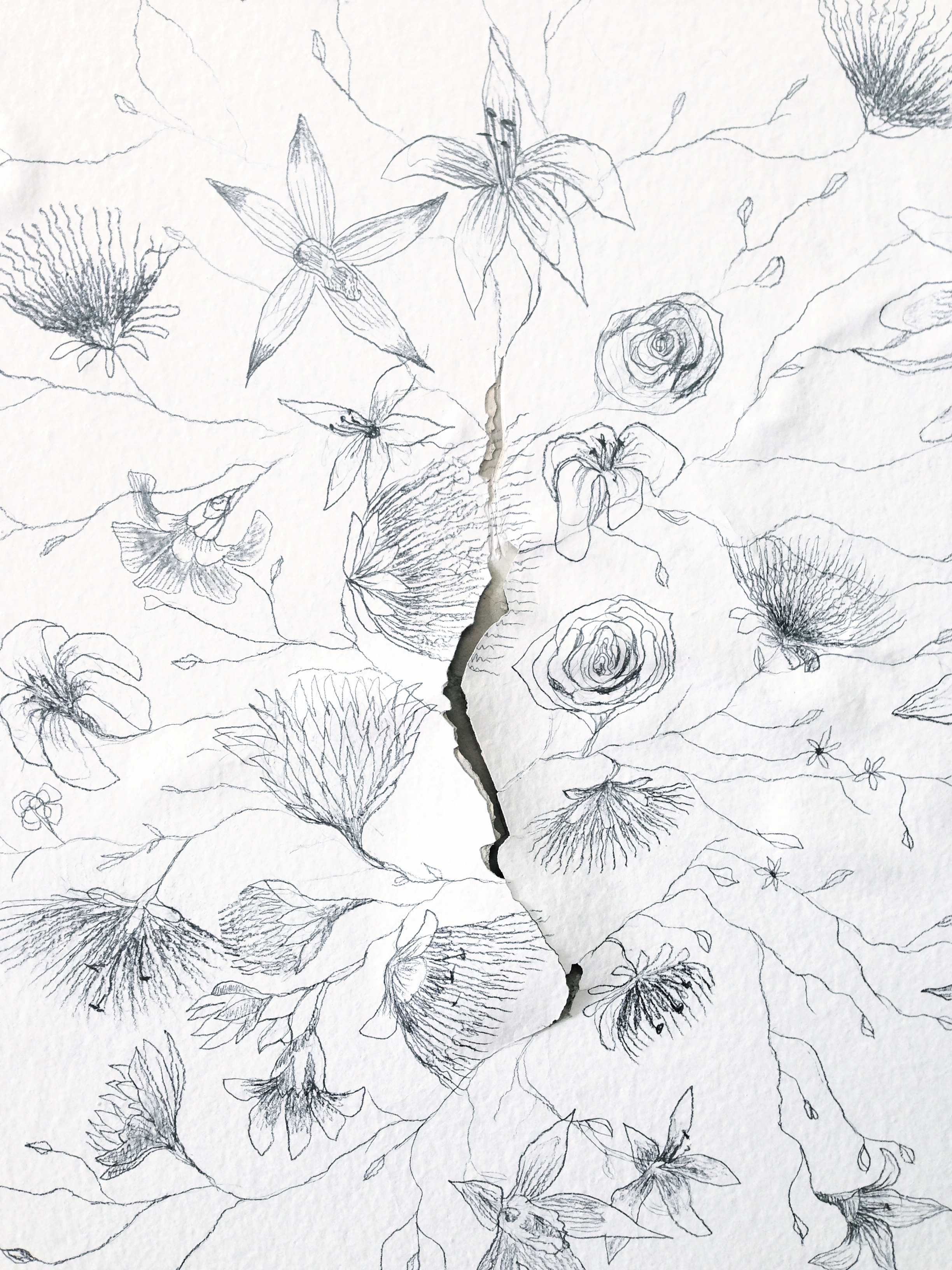 2448x3264 Cracked Wall Drawing - Cracked Wall Drawing