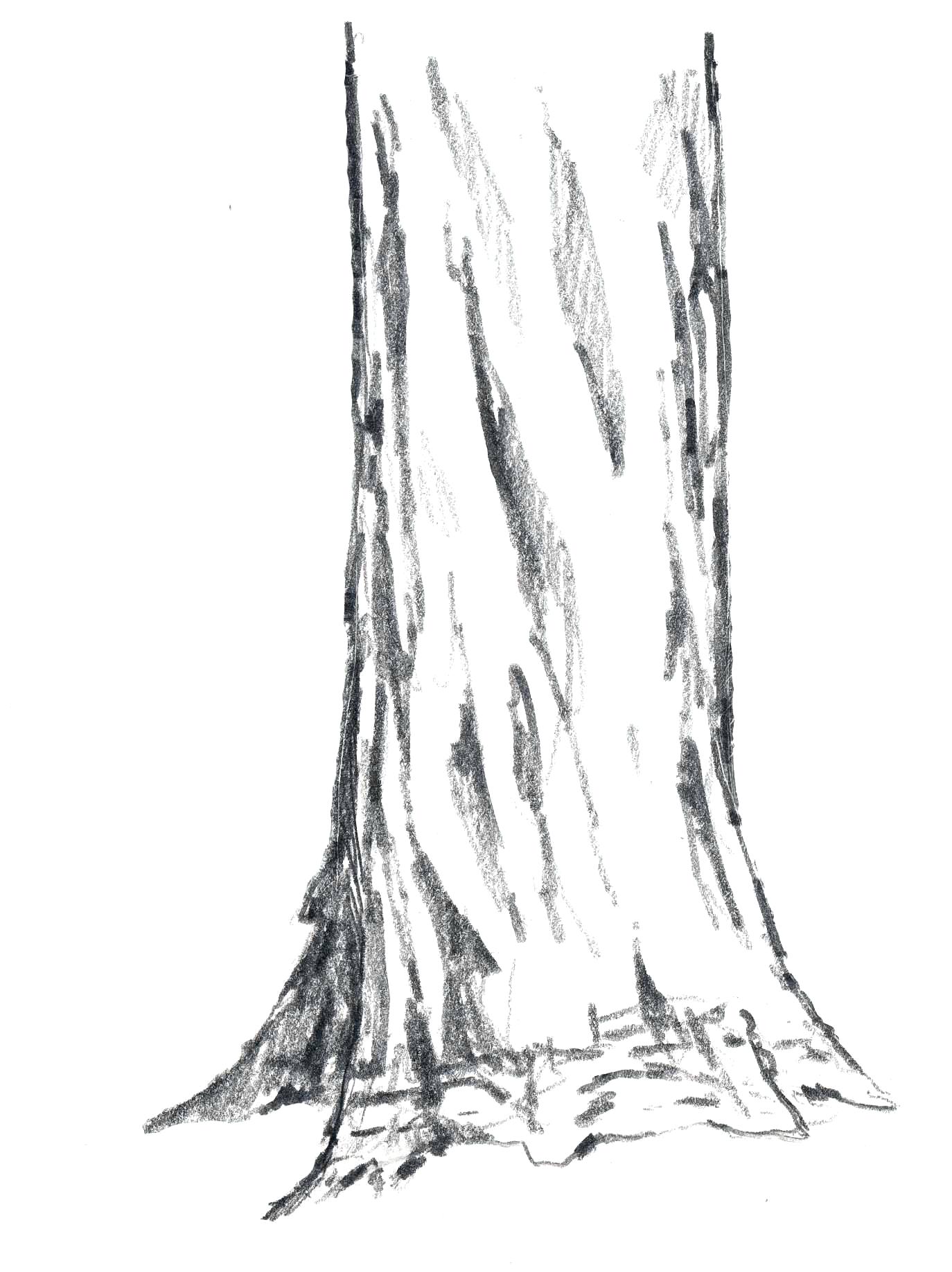 1374x1837 draw a tree trunk how to draw trees vertical cracks john laws draw - Cracks Drawing
