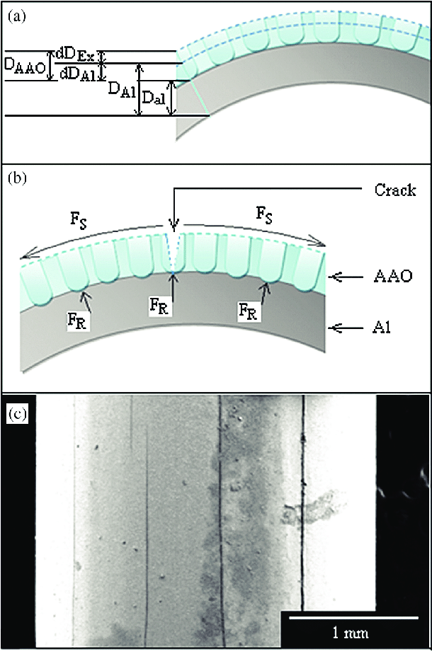 610x920 illustration of cracks - Cracks Drawing