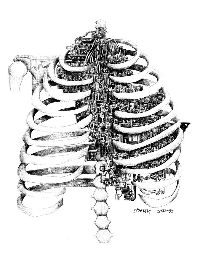 675x900 the cradle drawing - Cradle Drawing