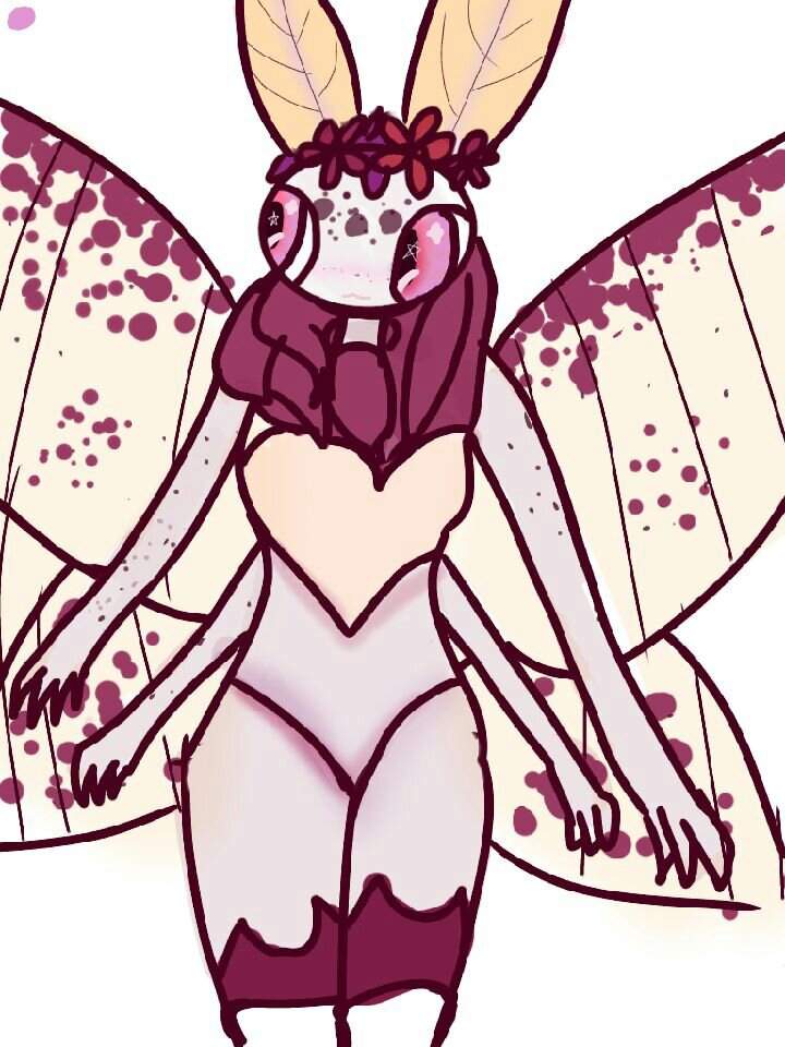 720x960 cranberry the moth - Cranberry Drawing