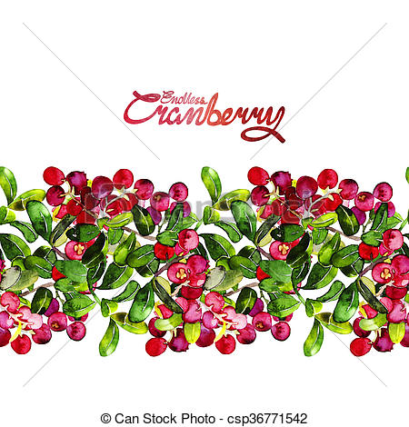450x470 watercolor cranberry border watercolor cranberry endless border - Cranberry Drawing