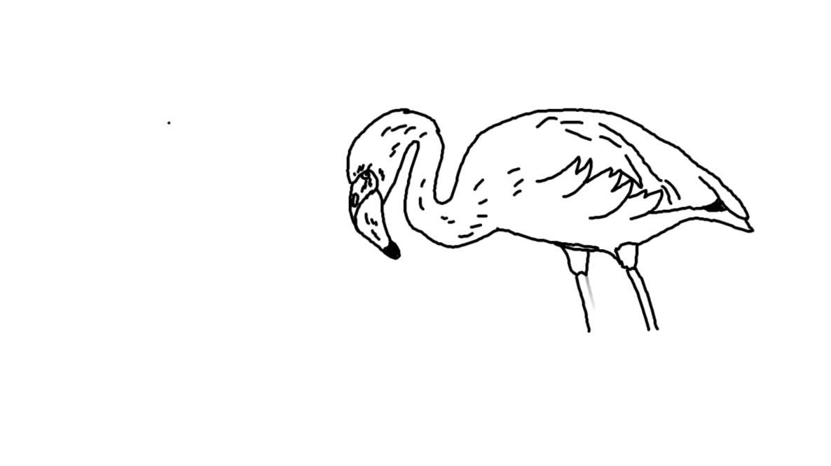 1186x666 how to draw a crane bird yzarts yzarts - Crane Bird Drawing