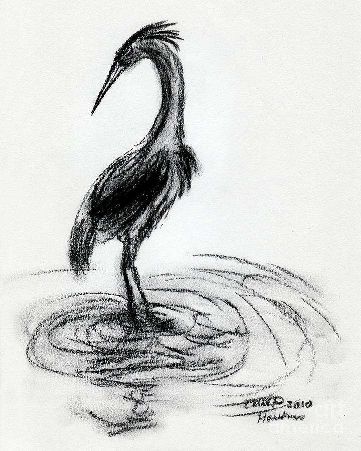 720x900 Fishing Crane Drawing - Crane Drawing