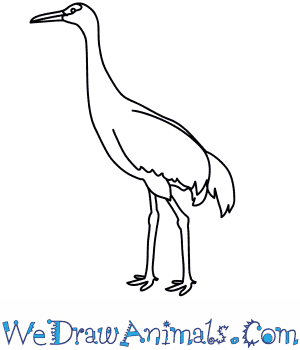 300x350 how to draw a sandhill crane - Crane Drawing