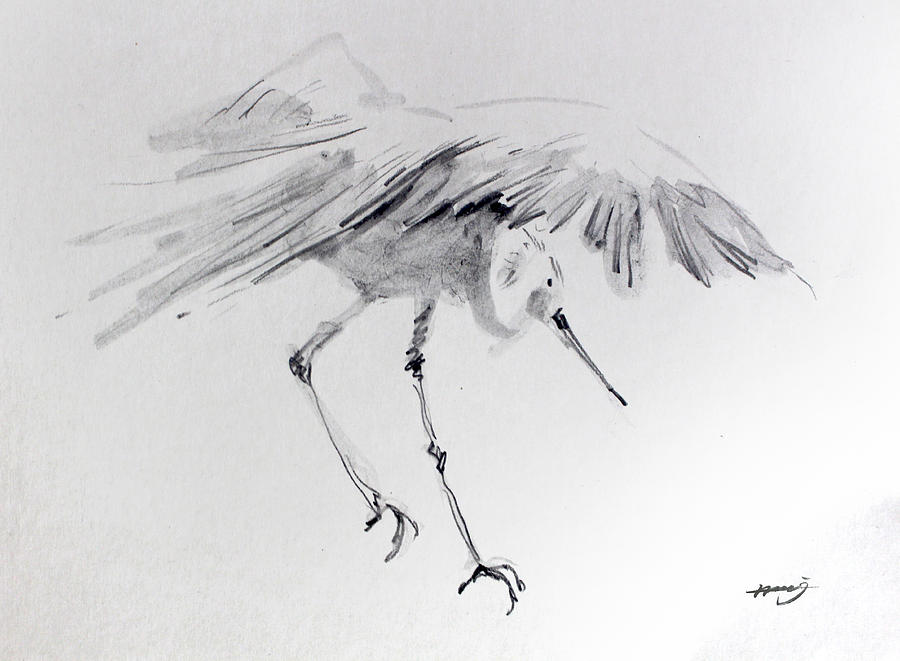 900x661 Crane Drawing - Crane Drawing