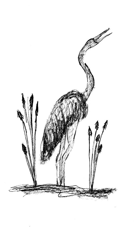 533x900 Crane Drawing - Crane Drawing
