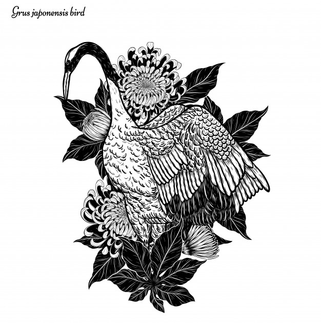 626x630 crowned crane vectors, photos and free download - Crane Drawing