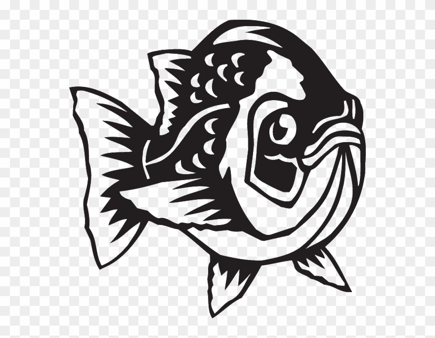 880x685 crappie drawing school clipart - Crappie Drawing