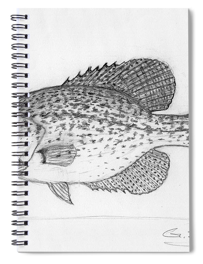 770x1000 black crappie spiral notebook for sale - Crappie Drawing