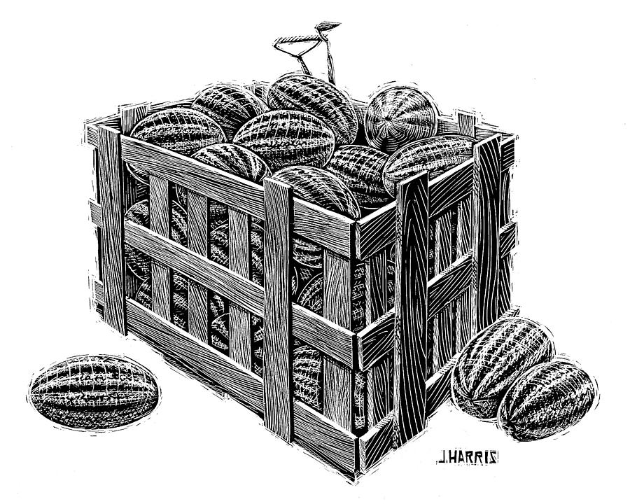 900x720 Watermelon Crate Drawing - Crate Drawing