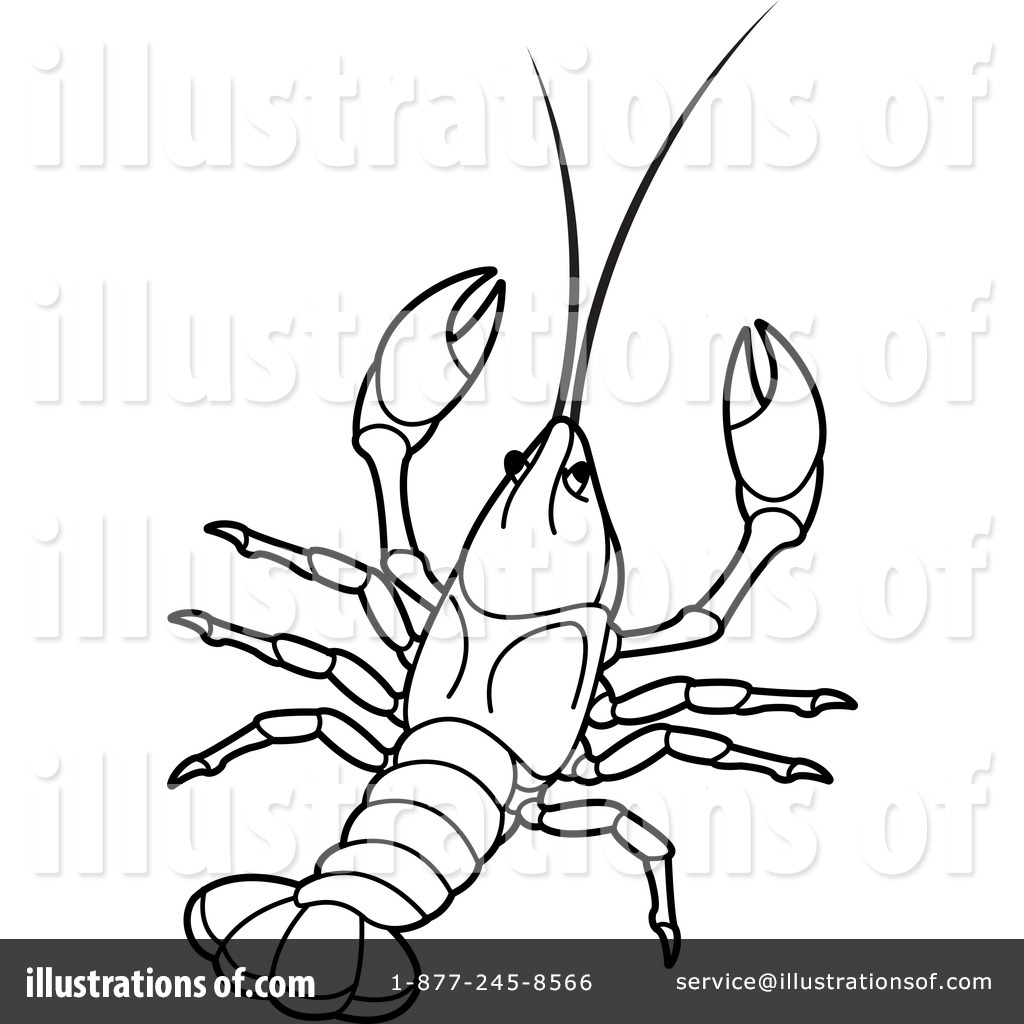 1024x1024 crawdad clipart - Crawdad Drawing