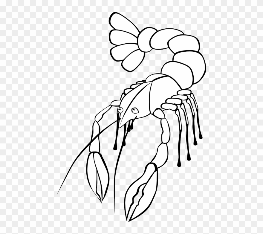 880x783 crawdad drawing red crawfish clipart - Crawdad Drawing
