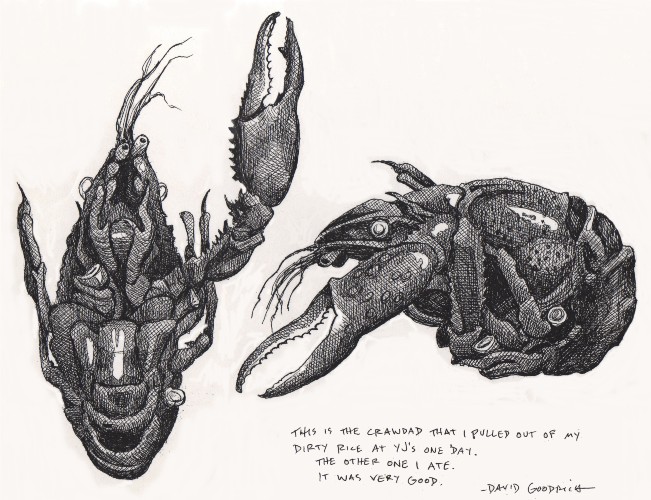 651x500 crawdad - Crawdad Drawing