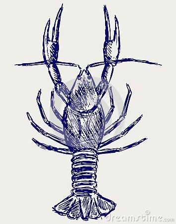 355x450 crayfish sketch stock photos, images, pictures - Crawdad Drawing