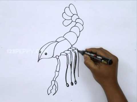 480x360 how to draw a crawfish - Crawdad Drawing