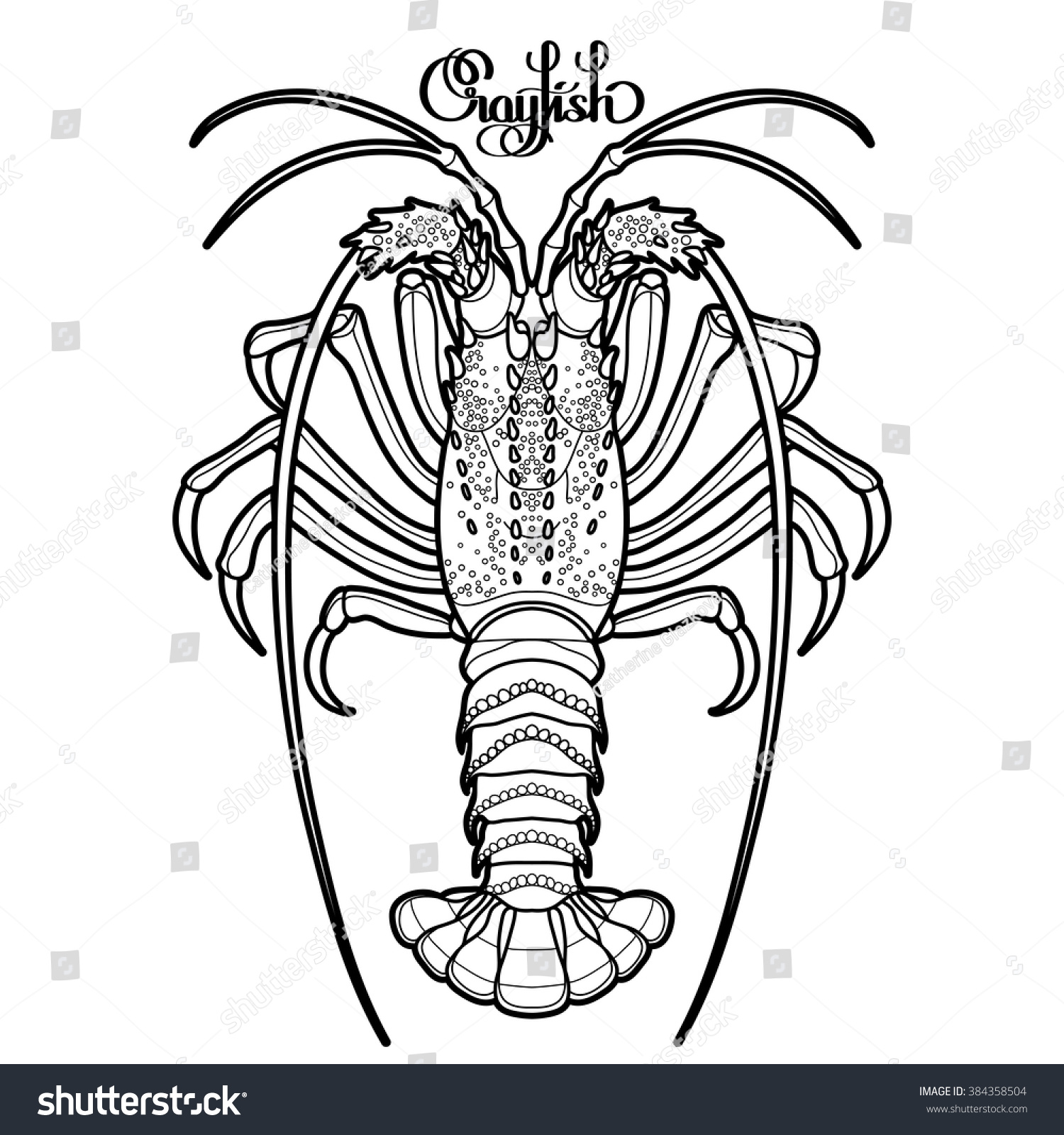1500x1600 coloring pages for kids crayfish printable coloring - Crawdad Drawing