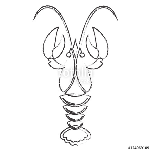 500x500 Crawfish Or Lobster Outline Silhouette Isolated On White - Crawfish Drawing