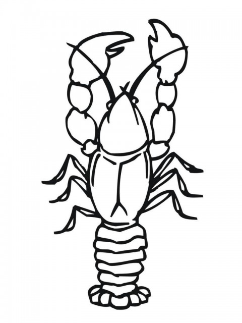 480x640 Stock Vector Coloring - Crawfish Drawing