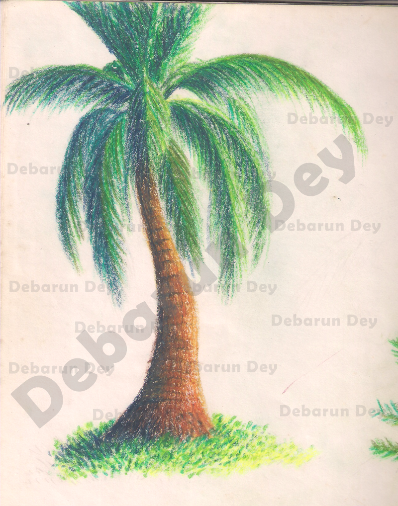 800x1018 direct crayon drawing debarun dey - Crayon Drawing